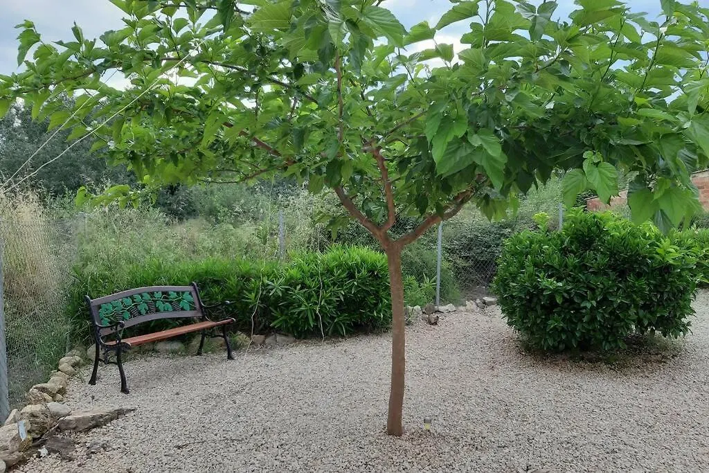 Holiday home Riverside Place Benifallet Spain